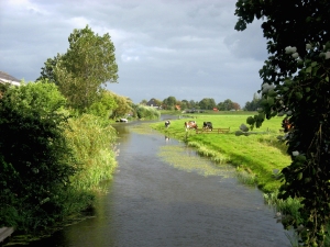 Akersloot, Startingervaart  05-09-2012 001